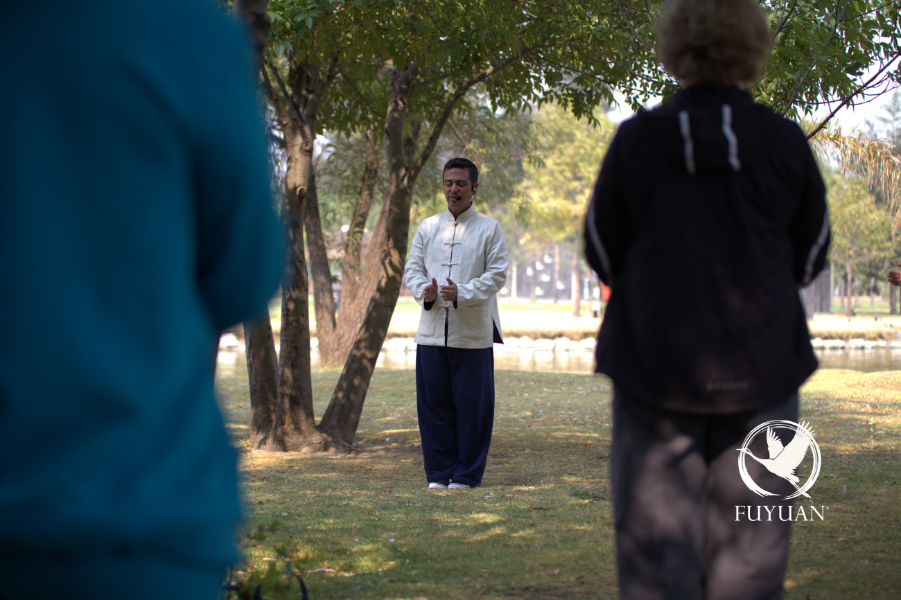 Práctica de Qigong guiada al aire libre